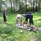 photo001
