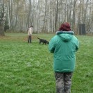 photo038