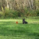 photo003