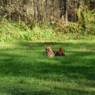 photo020