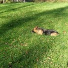photo026