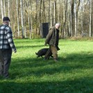 photo041