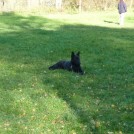 photo047