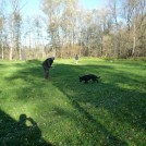 photo049