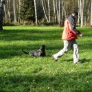 photo061