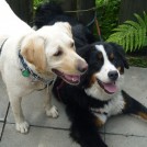 photo004