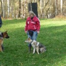 photo008