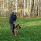 photo009
