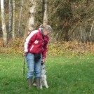 photo017