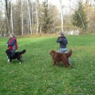 photo019