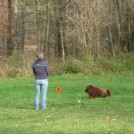 photo021