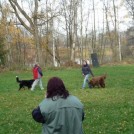 photo025