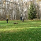 photo047