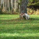photo065