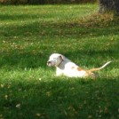 photo068