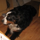 photo008