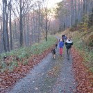 photo013