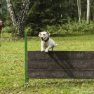 photo003