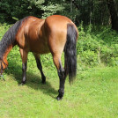 photo043