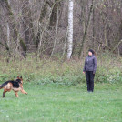 photo081