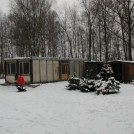photo002