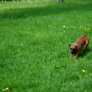 photo001
