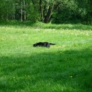 photo002