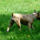 photo003