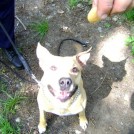 photo004