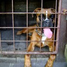 photo006