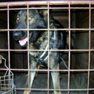 photo007
