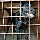 photo008
