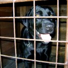 photo009