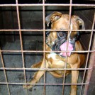 photo011