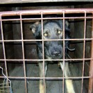 photo012