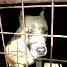 photo013