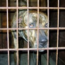photo016