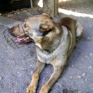 photo018