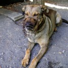 photo019