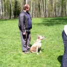 photo034